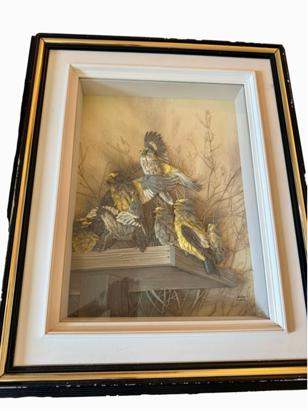 Vintage Mixed Media Bird Art Set of 2 in wood frames